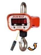 Crane Scale